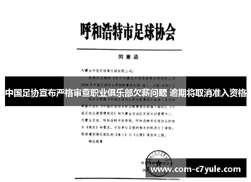 中国足协宣布严格审查职业俱乐部欠薪问题 逾期将取消准入资格