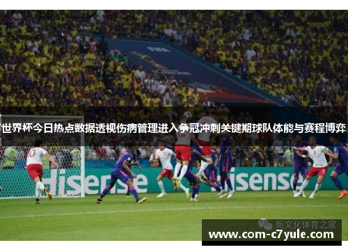 世界杯今日热点数据透视伤病管理进入争冠冲刺关键期球队体能与赛程博弈